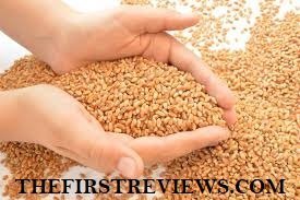 Nutritional Supplements