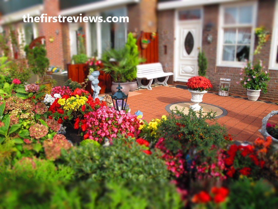 Gardening Ideas